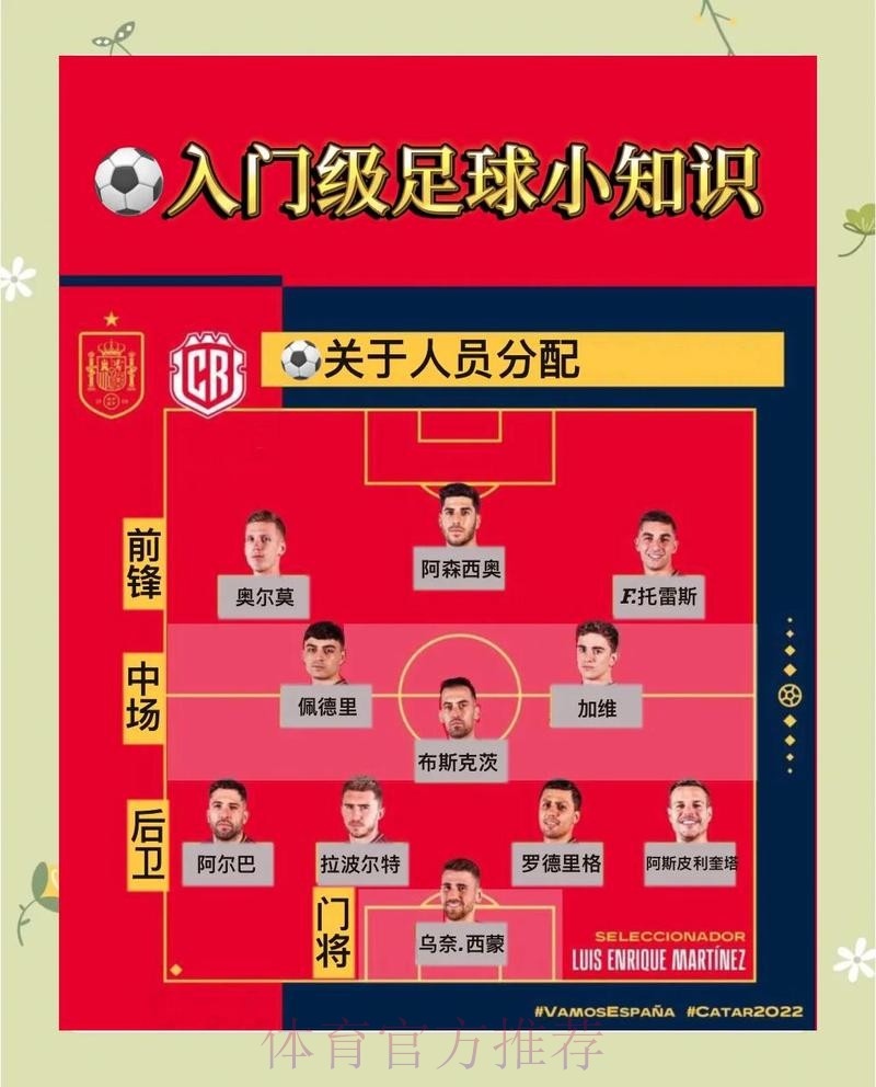 如何掌握世界杯比分教程热点解析